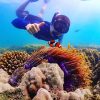 Sattahip Snorkeling with Speedboat